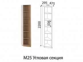 М25 Угловая секция в Ноябрьске - noyabrsk.магазин96.com | фото