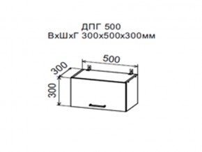 Шкаф верхний ДПГ500 горизонтальный в Ноябрьске - noyabrsk.магазин96.com | фото