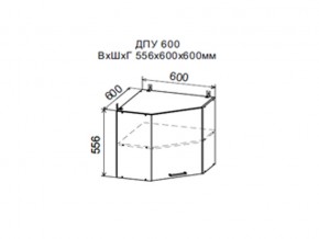 Шкаф верхний ДПУ600 угловой в Ноябрьске - noyabrsk.магазин96.com | фото