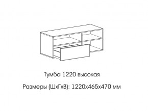 Тумба 1220 (высокая) в Ноябрьске - noyabrsk.магазин96.com | фото